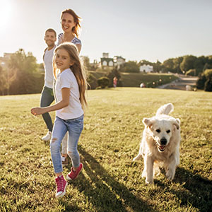 Family with child and golden retriever running in a park, illustrating pet planning and estate law in California.